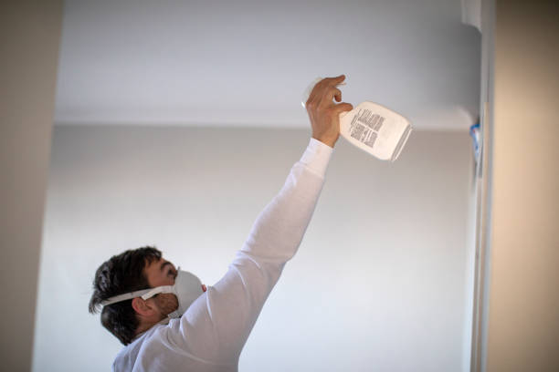 Best Crawl Space Mold Removal  in Big Pine Key, FL